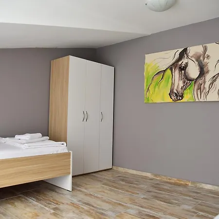 Apartment Vavilla