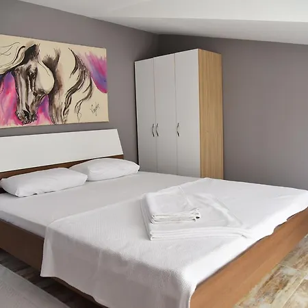 Apartment Vavilla *