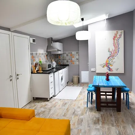 Apartment Vavilla *